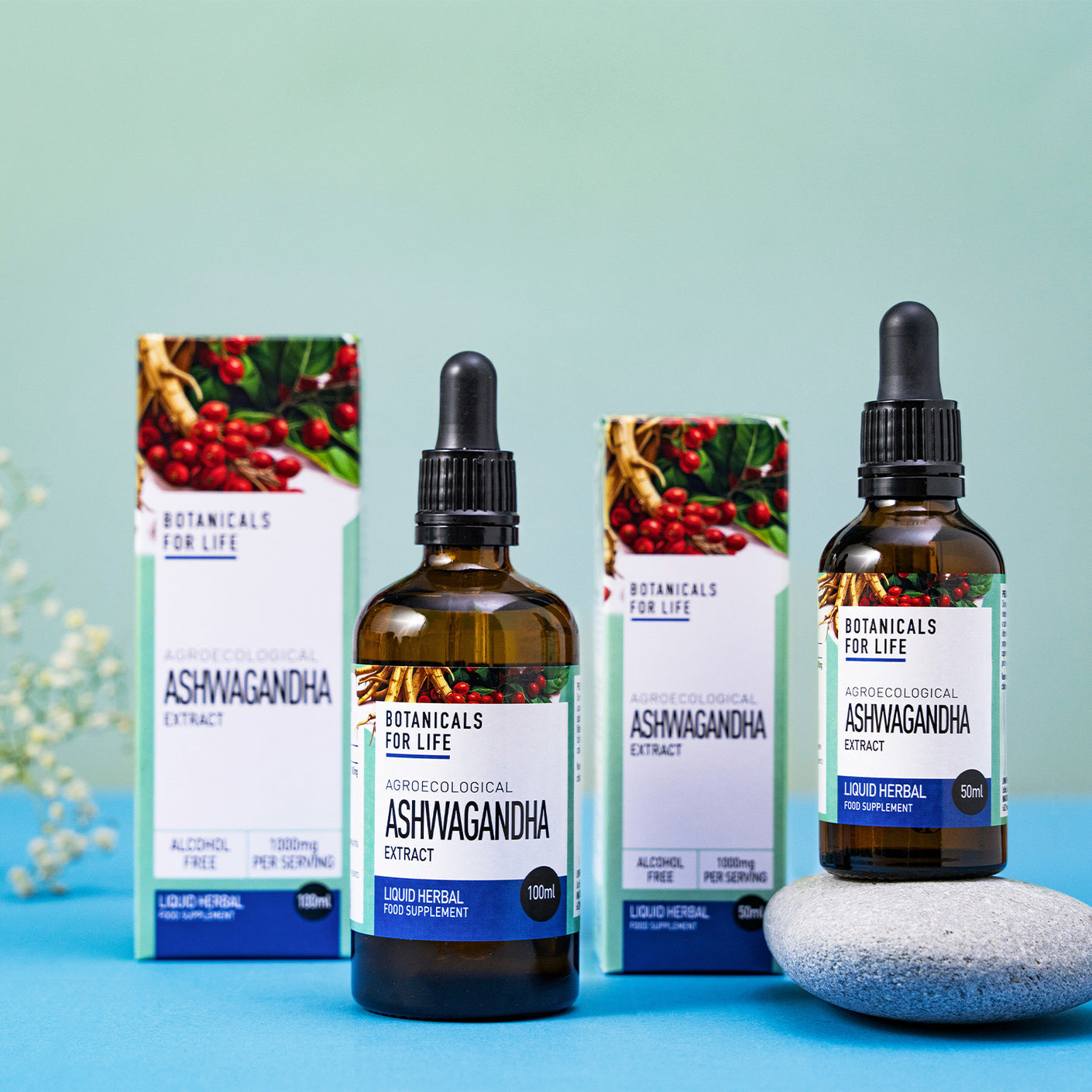 Botanicals For Life - Ashwagandha