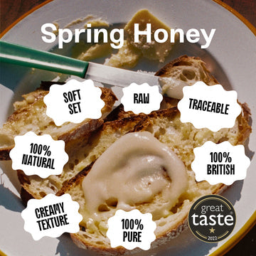 Black Bee Honey - Raw British Set Spring Hiney