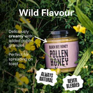 Black Bee Hiney - Raw British Pollen Honey
