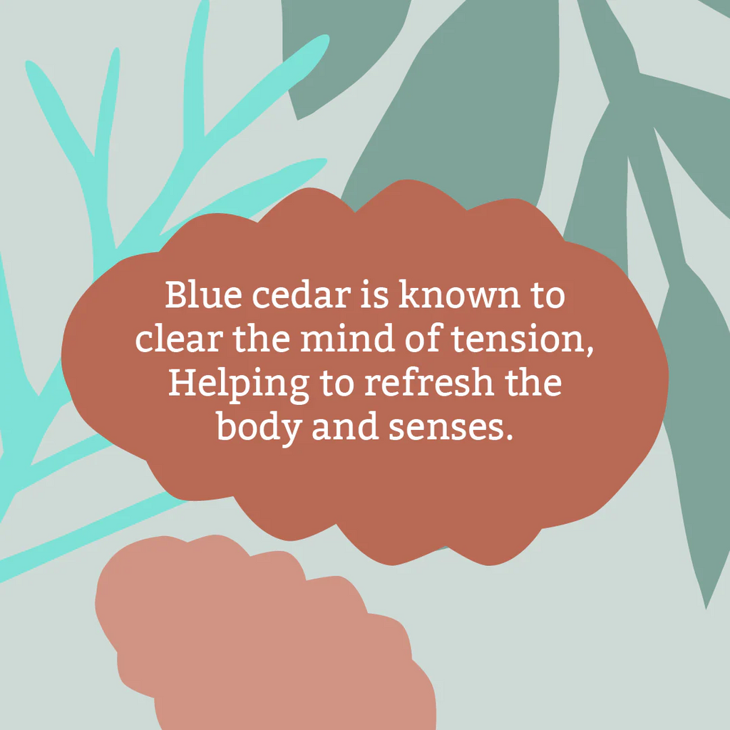Faith In Nature Blue Cedar Soap Bar