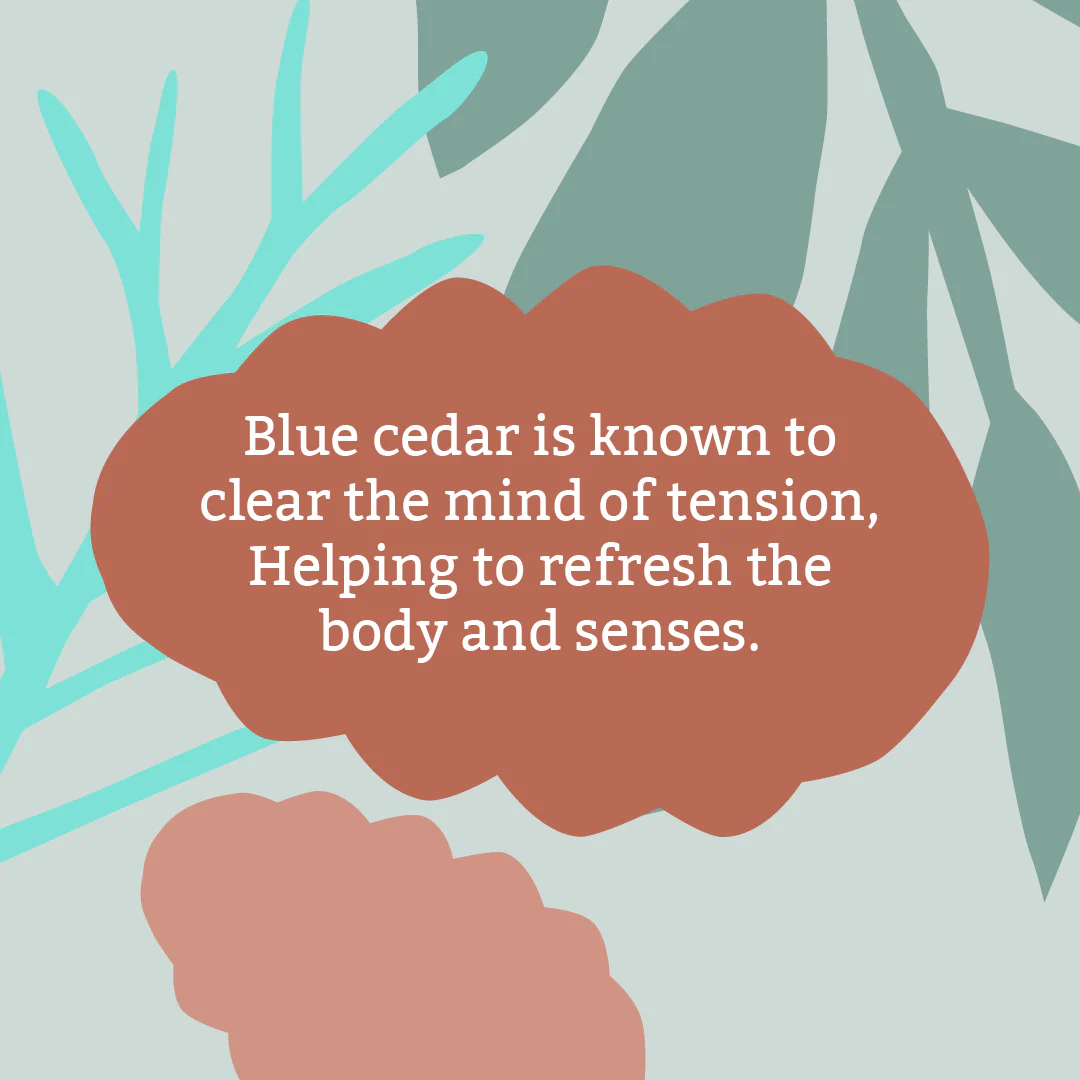 Faith In Nature Blue Cedar Soap Bar