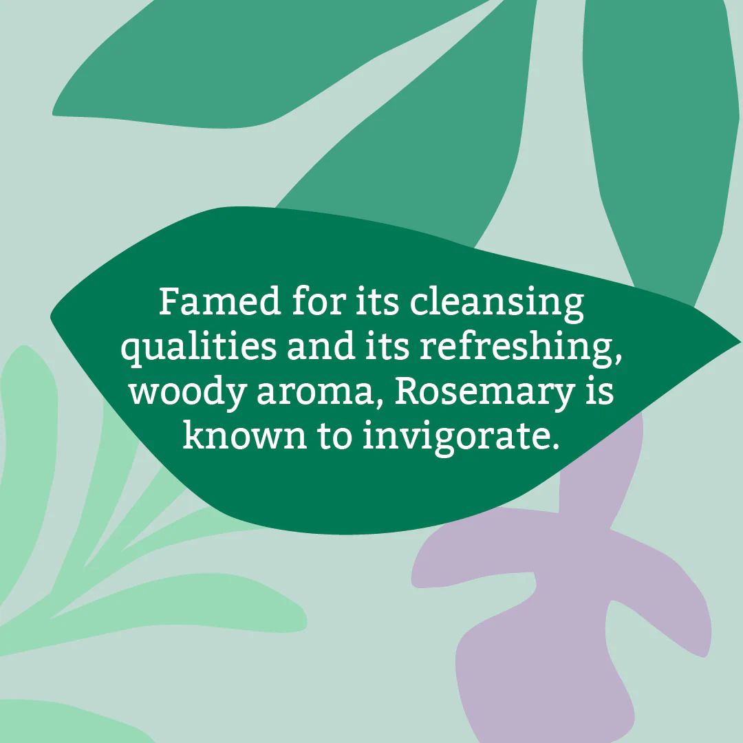 Faith In Nature Unwrapped Rosemary Soap