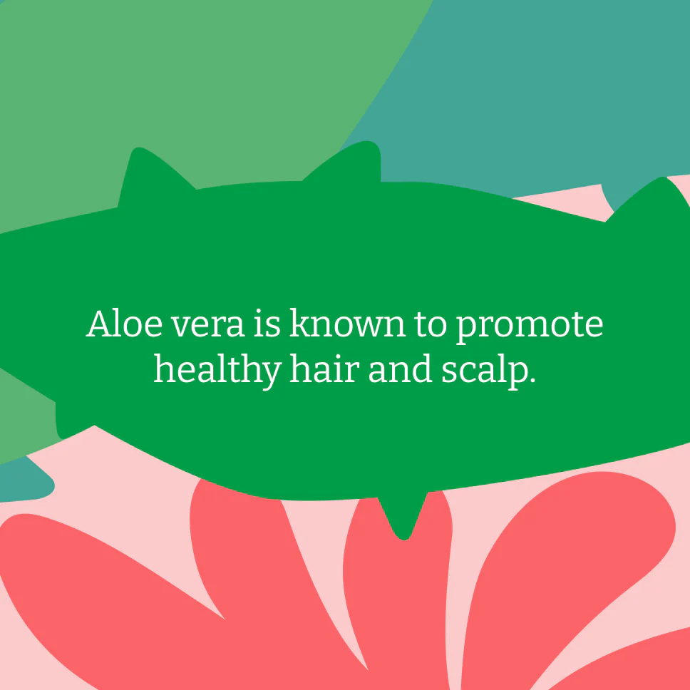 Faith In Nature - Aloe Vera Shampoo