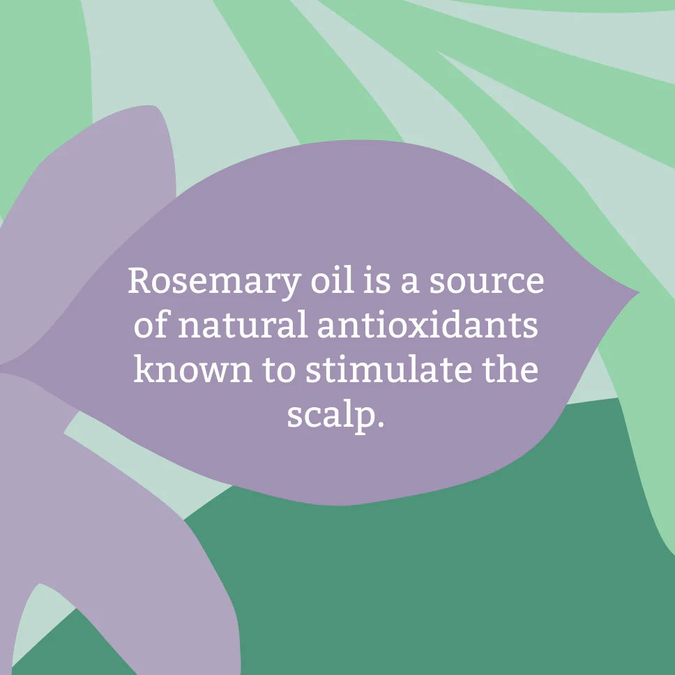 Faith In Nature - Rosemary Conditioner
