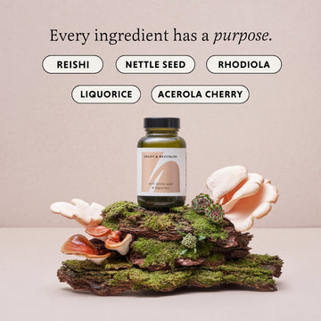The Herbtender - Uplift & Revitalize