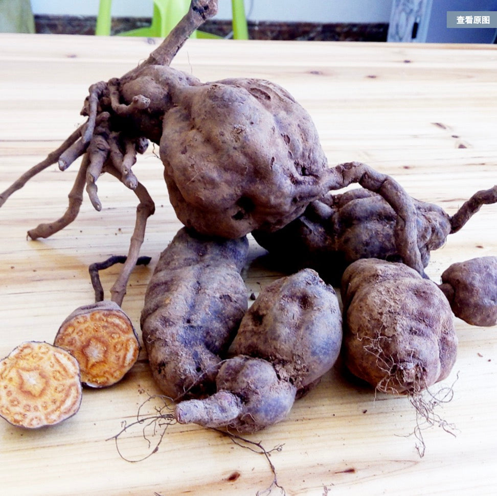 Raw Living He Shou Wu Powder
