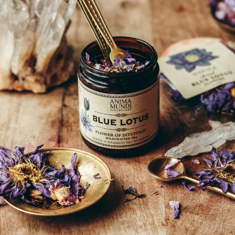 Anima Mundi Herbals Blue Lotus Tea