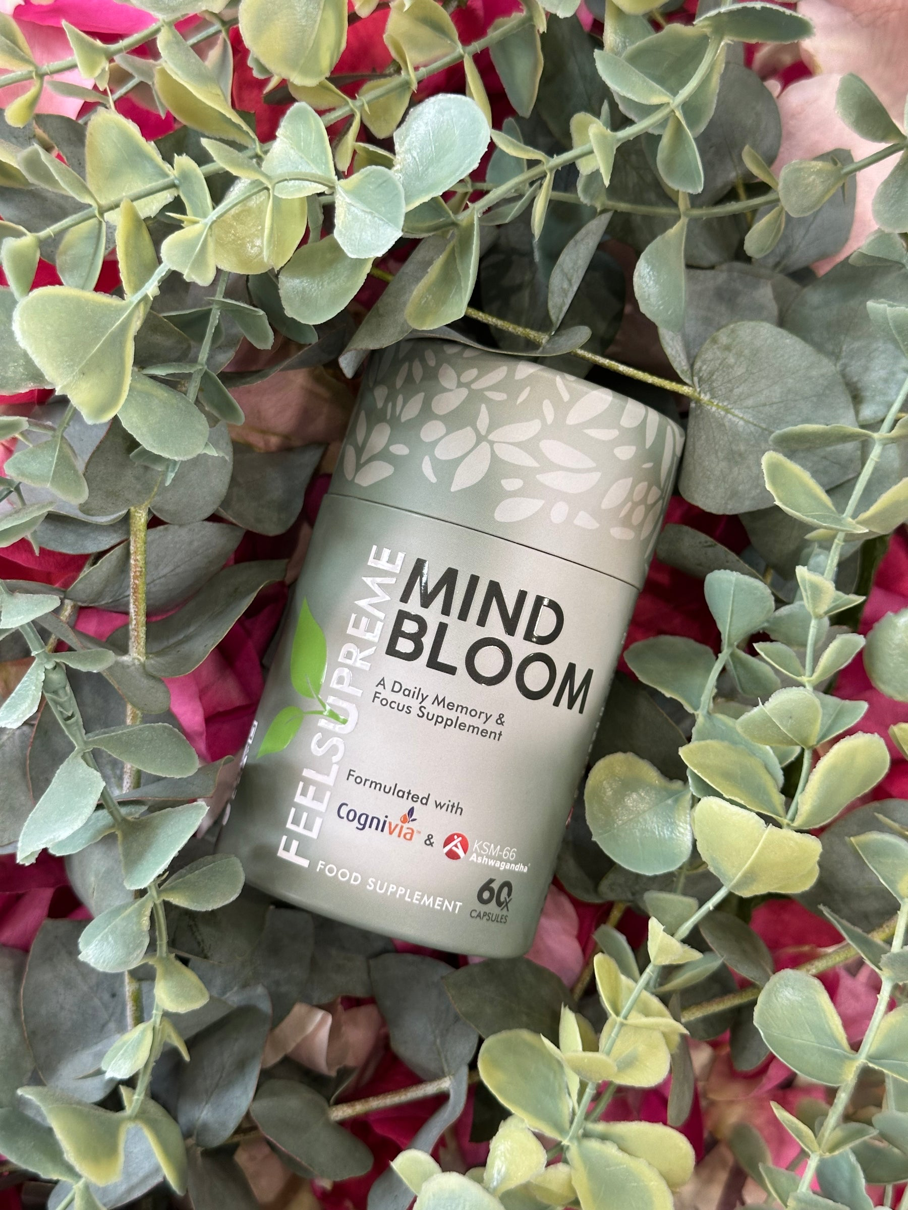 Feel Supreme Mind Bloom