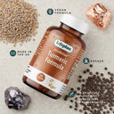 Lifeplan Joinr Action Turmeric Formula