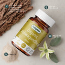 Lifeplan Organic Ashwagandha