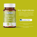 Lifeplan Dandelion Root