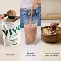 Vivo Life Vegan Protein Powder