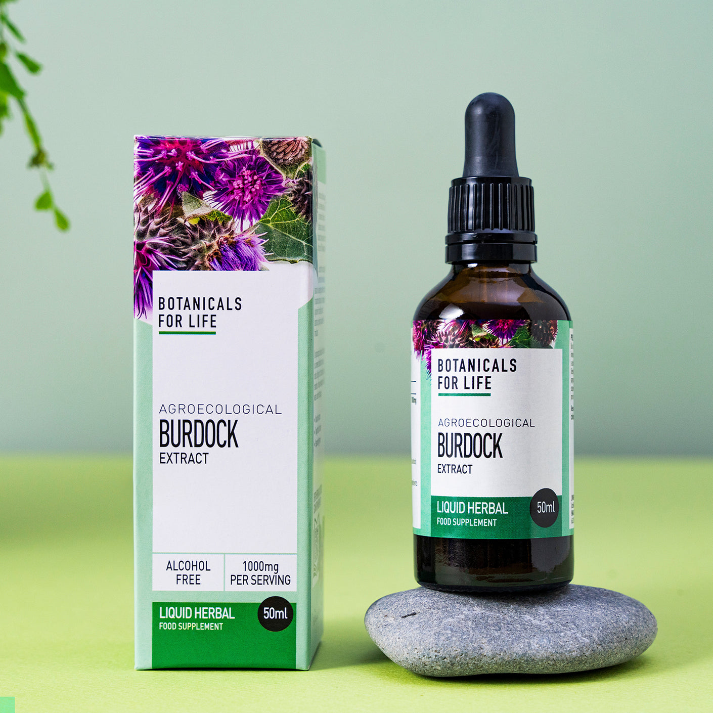 Botanicals For Life - Burdock Extract