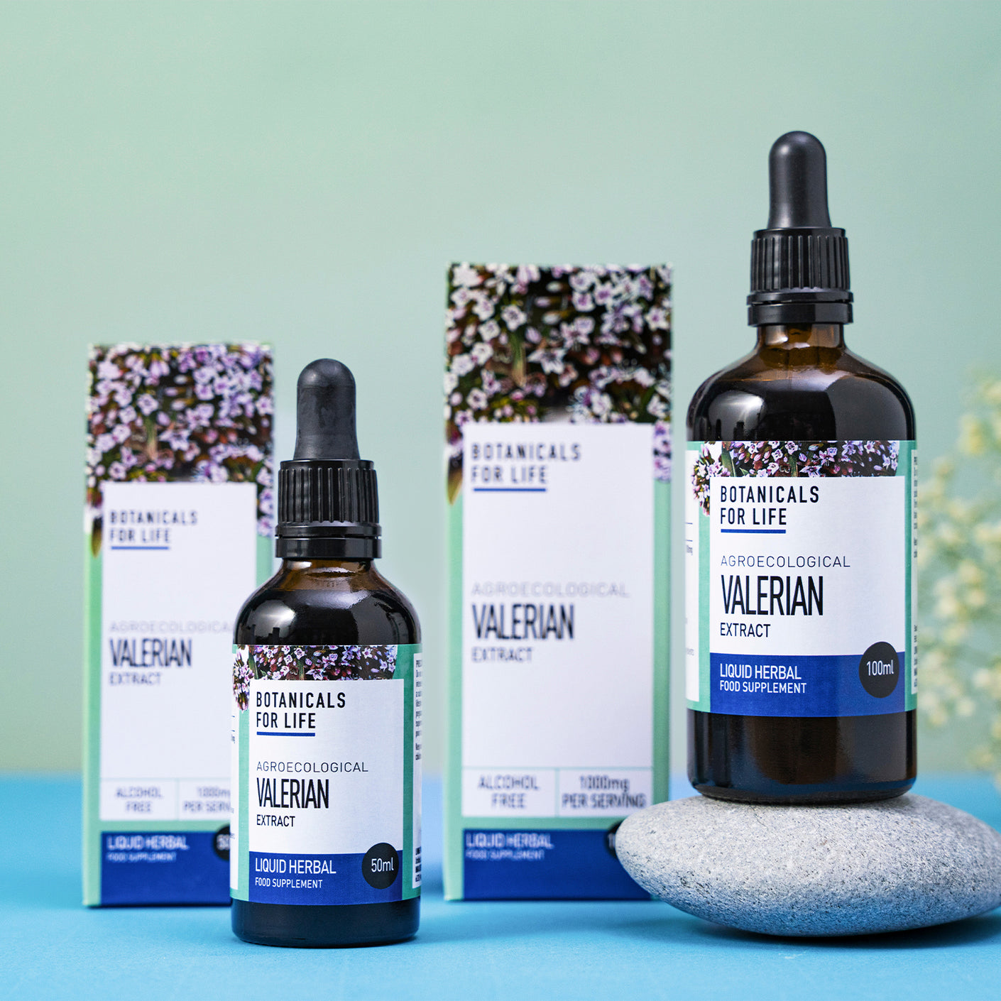 Botanicals For Life - Valerian Extract