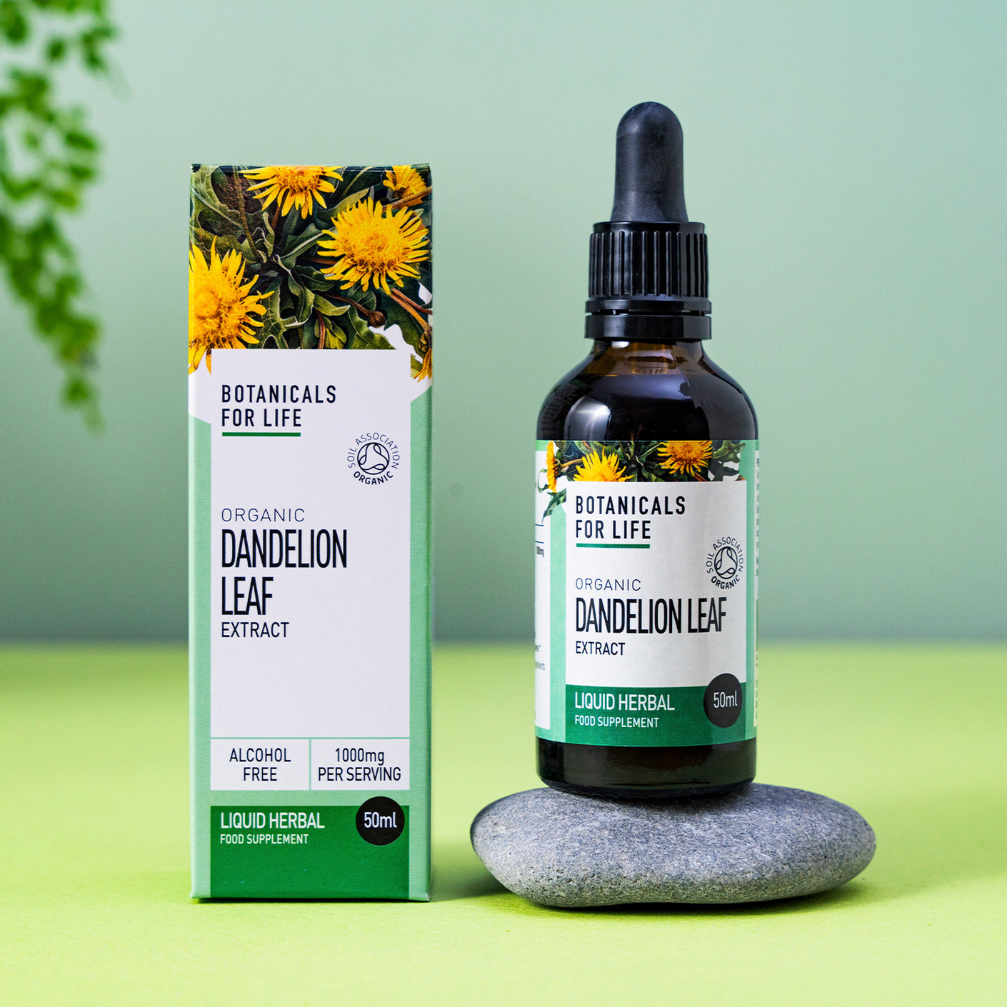 Botanicals For Life - Dandelion Leaf Extract