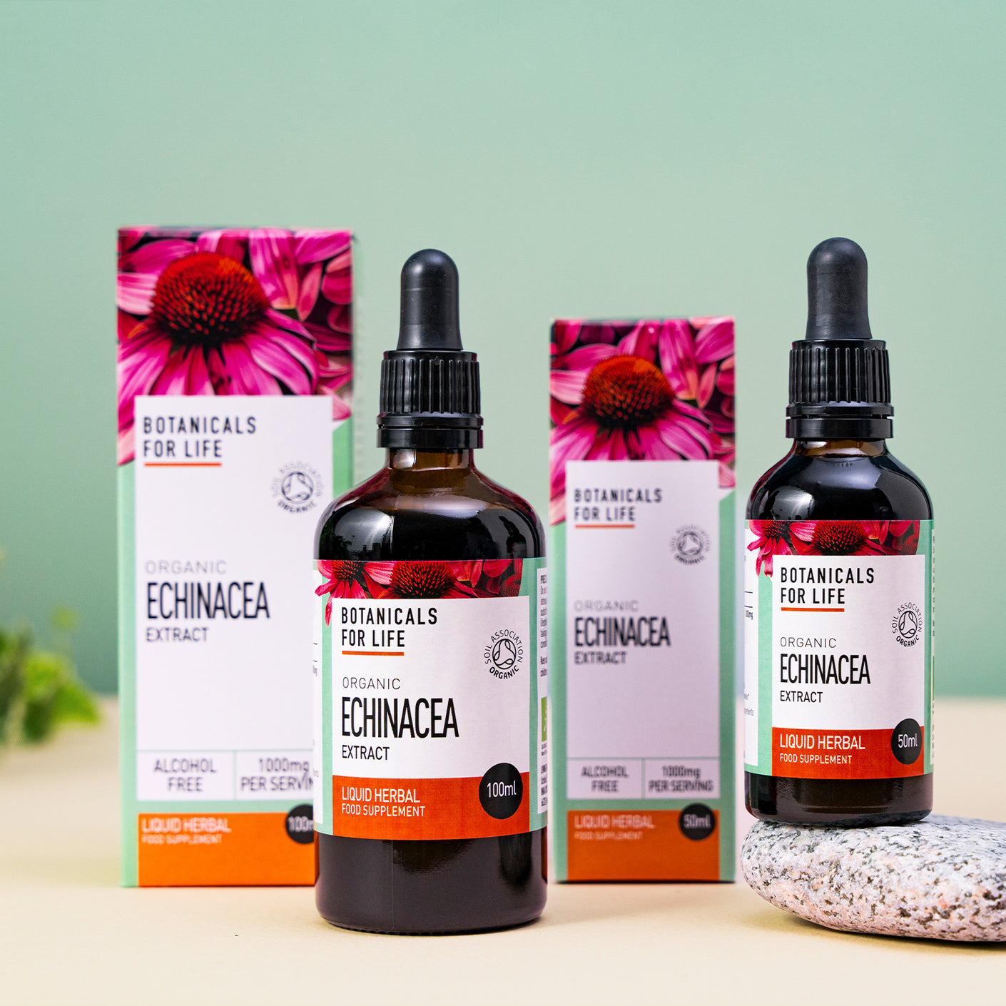 Botanicals For Life - Echinacea Root Extract