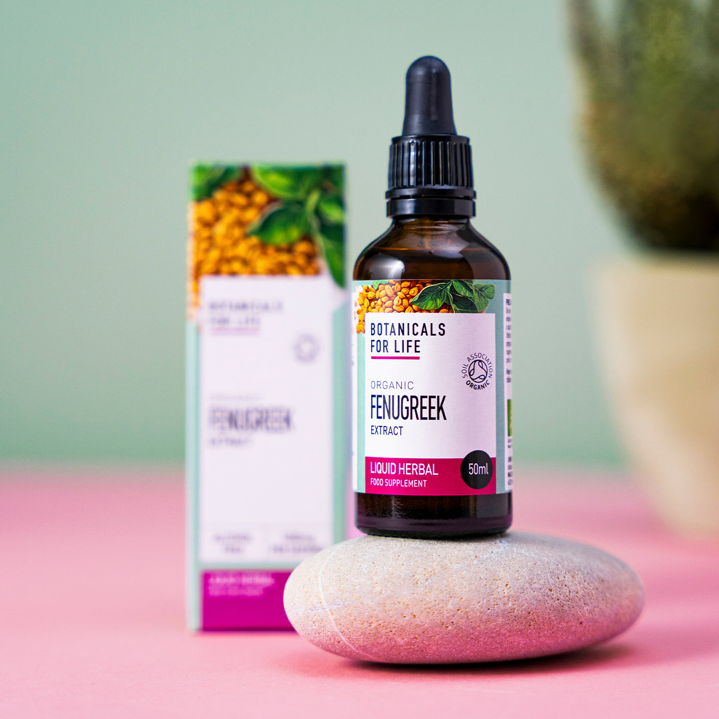Botanicals For Life - Fenugreek Extract