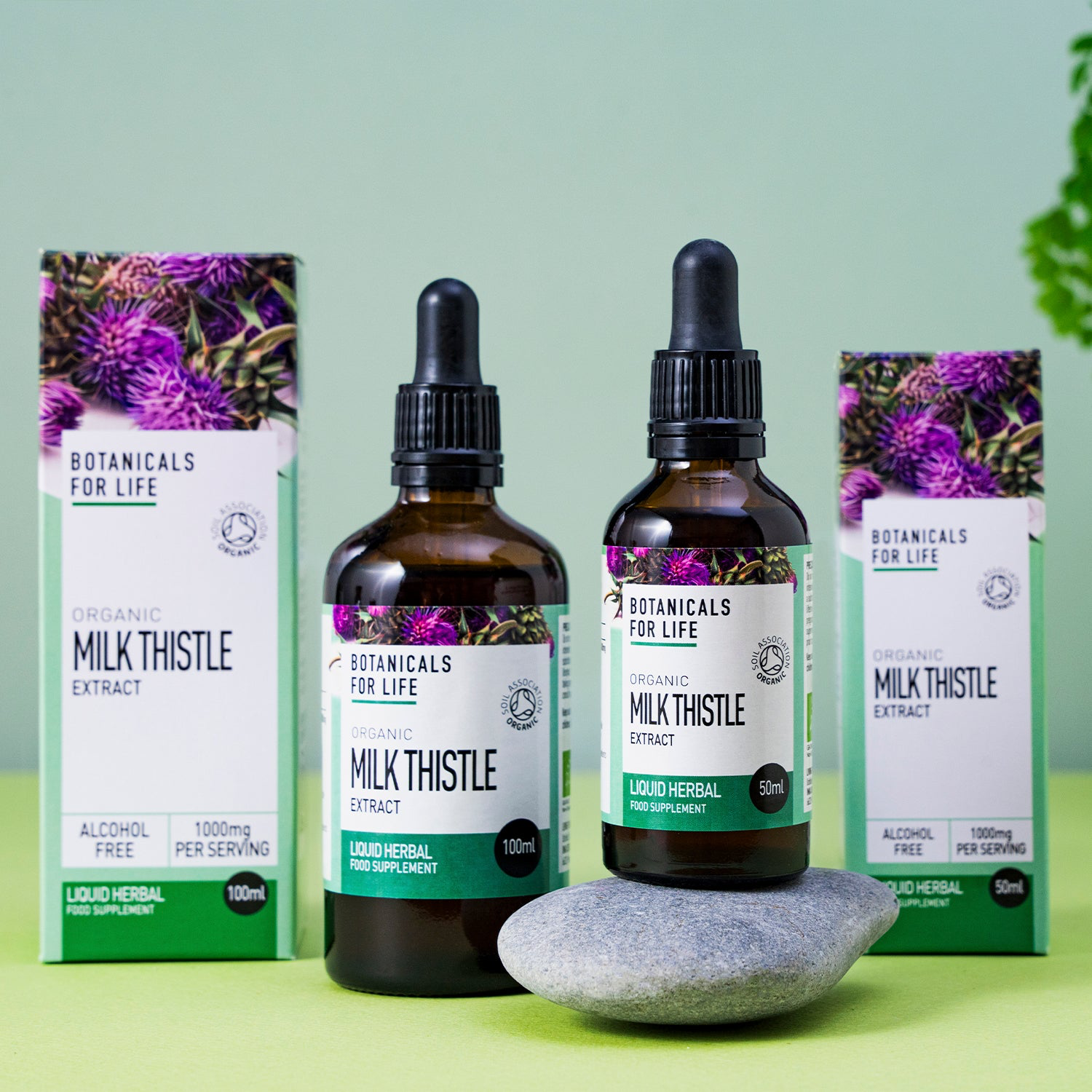 Botanicals For Life - Milk Thistle Extract