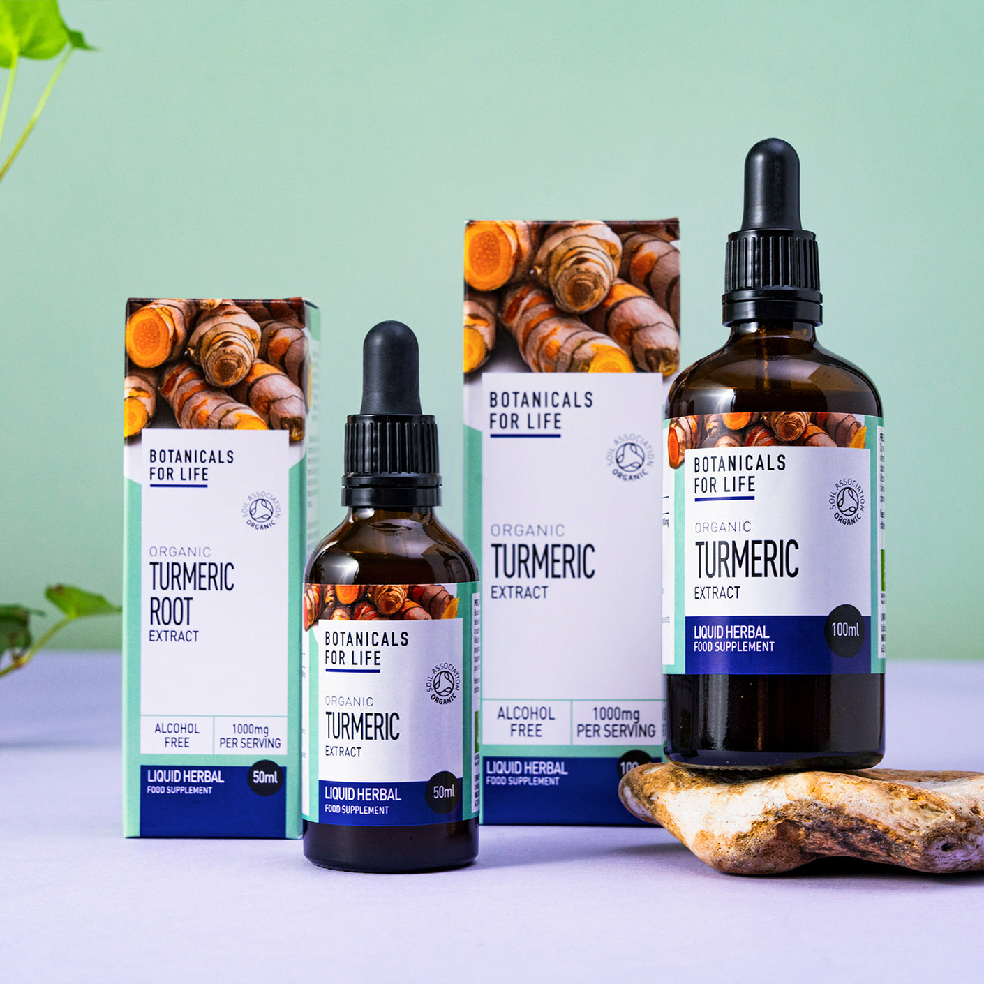 Botanicals For Life - Turmeric Root Extract