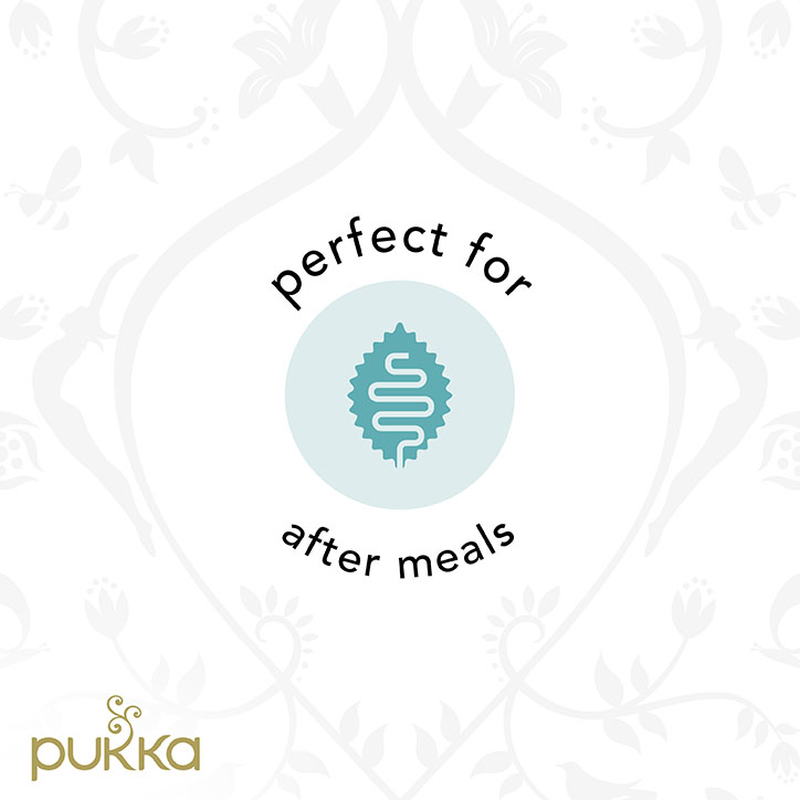 Pukka Herbs - Three Ginger Tea