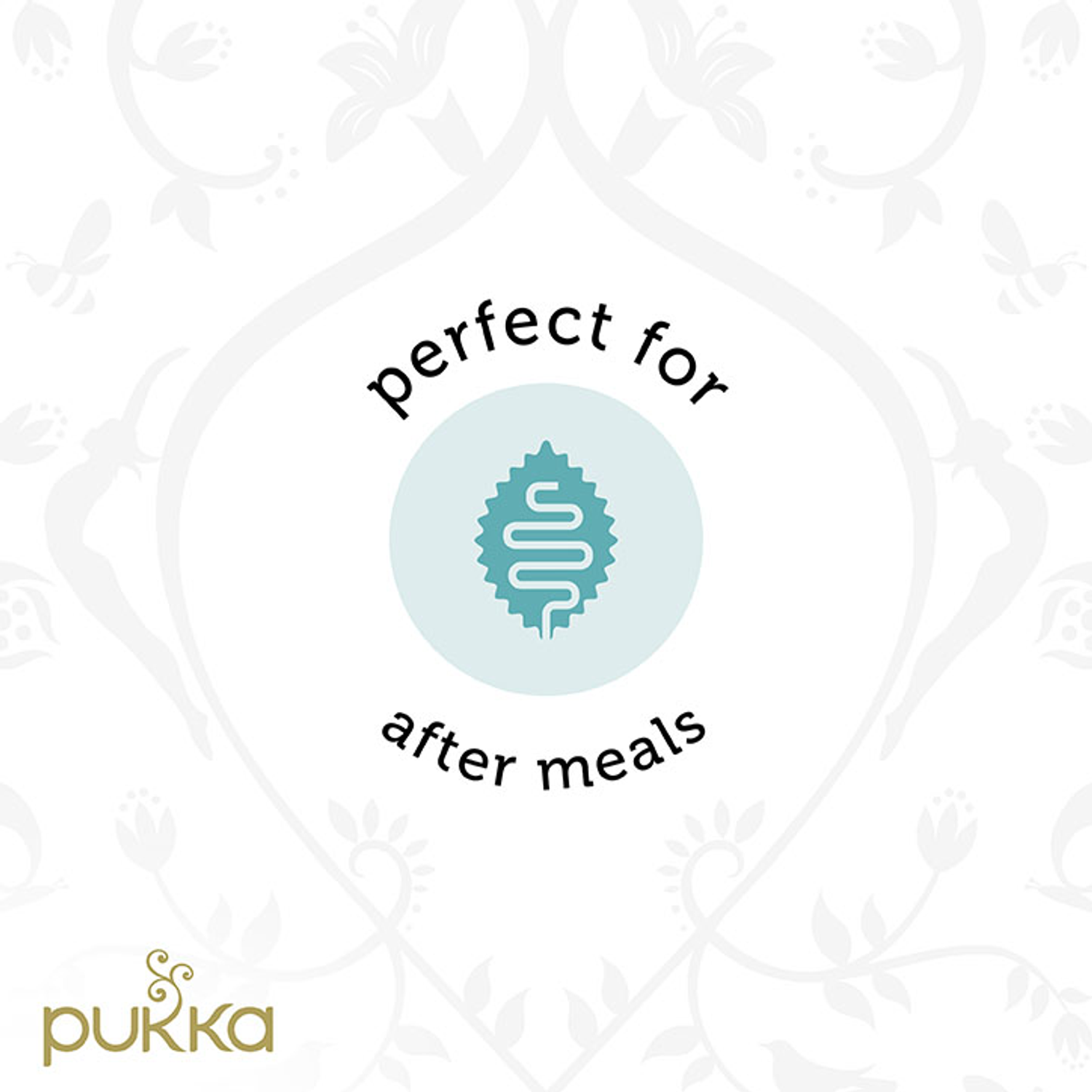 Pukka Herbs  - Vanilla Chai Tea