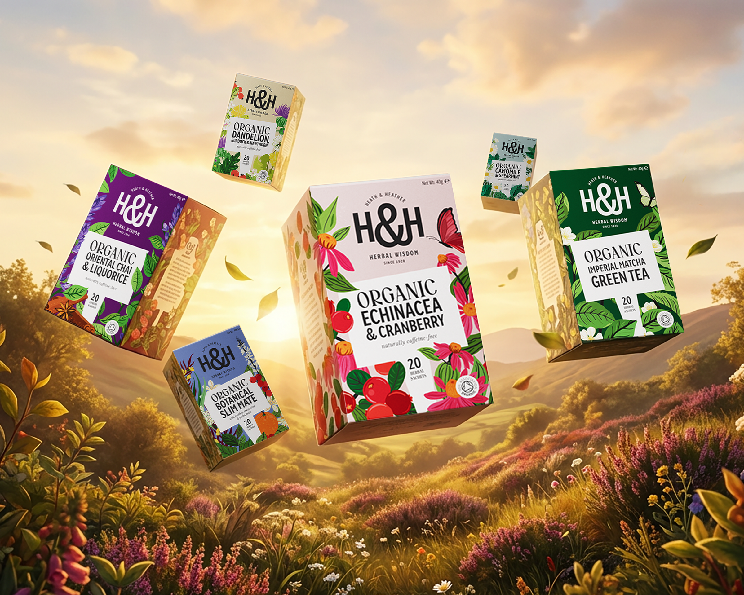 Heath & Heather Tea - Organic Turmeric Root Brew