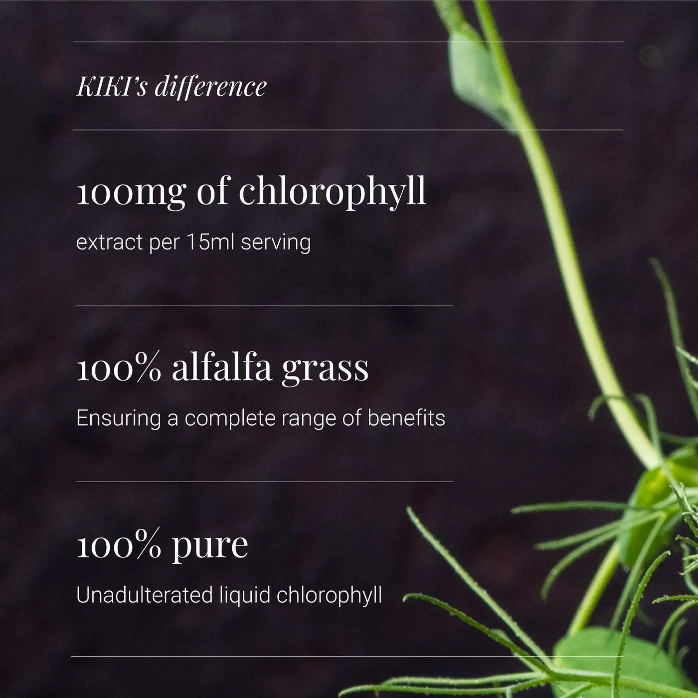 Kiki Health Liquid  Chlorophyll