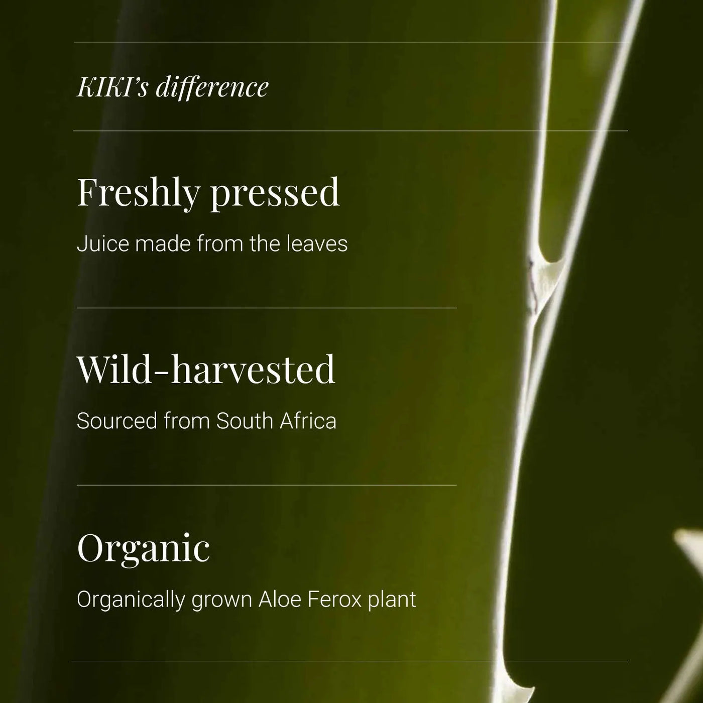 Kiki Health Aloe Ferox Juice