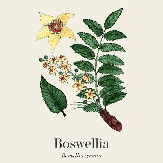 Viridian Boswellia Extract
