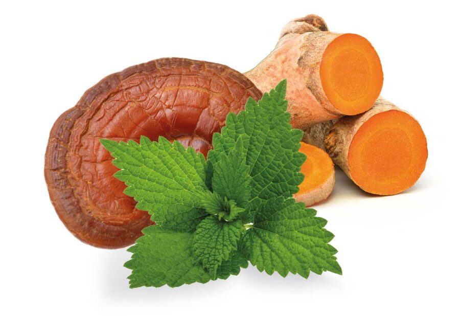 Living Nutrition Aller-plex