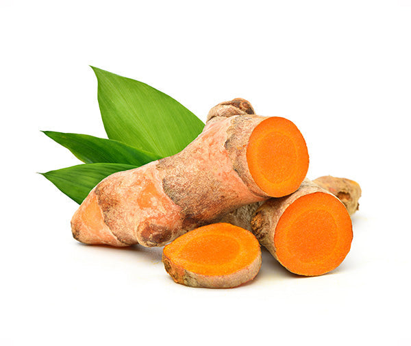 Living Nutrition Organic Fermented Turmeric