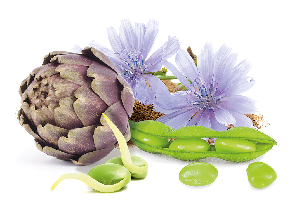 Living Nutrition Your Flora Regenesis