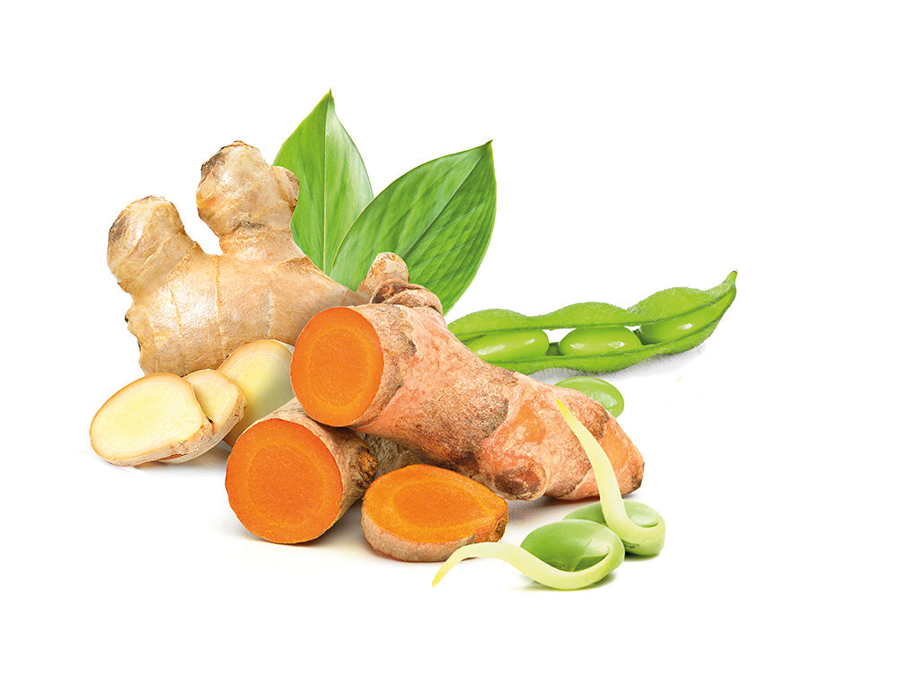 Living Nutrition Your Flora Gold Spice