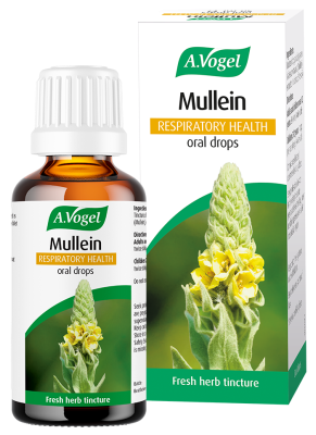 A.Vogel Mullein Respiratory Oral Drops