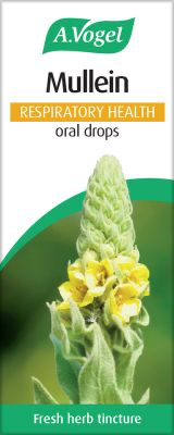 A.Vogel Mullein Respiratory Oral Drops