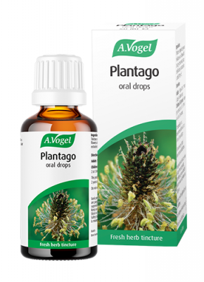 Plantago Oral Drops