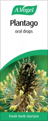 Plantago Oral Drops