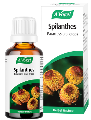 A.Vogel Spilanthes Drops
