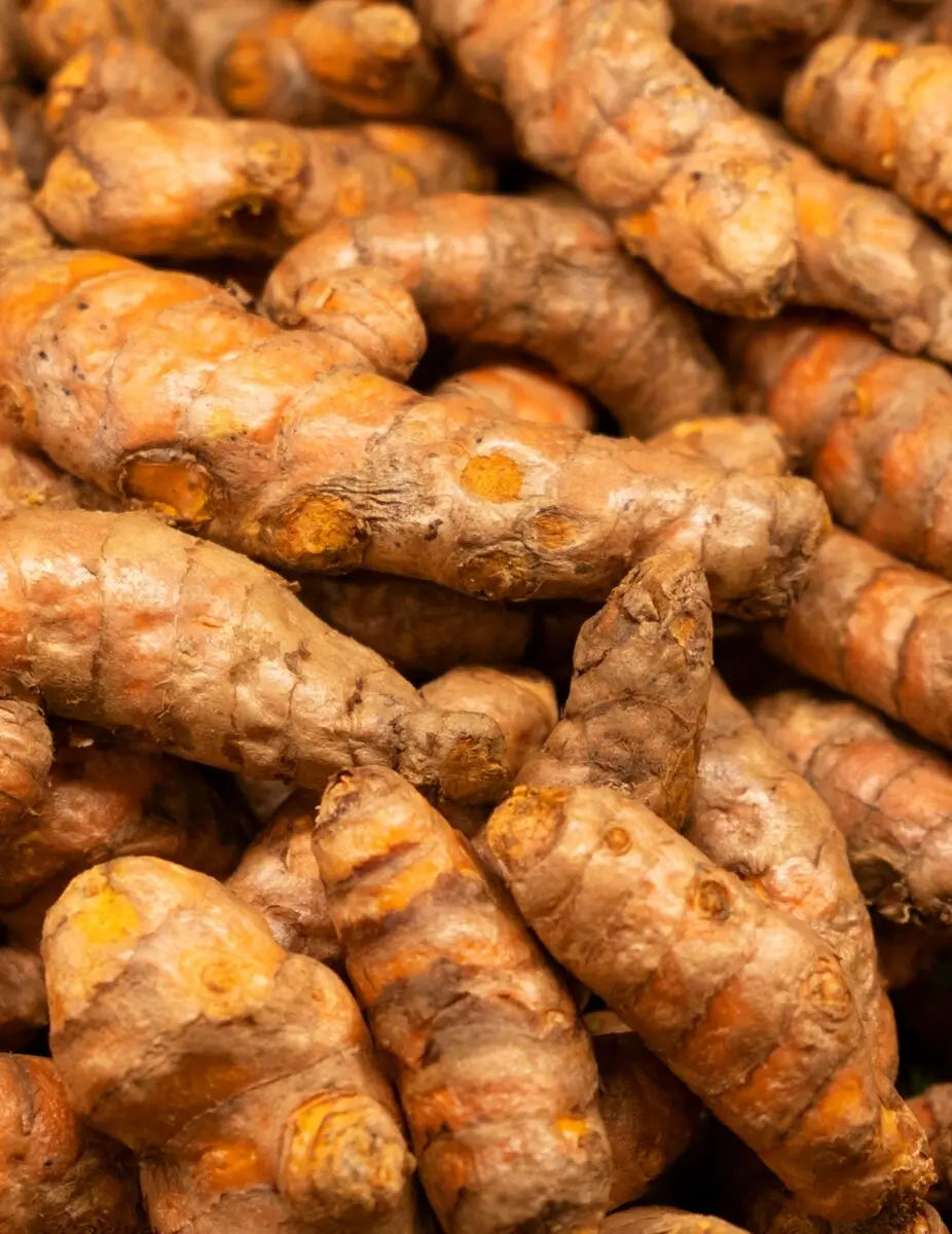 Pukka Herbs  - Turmeric, Ginger & Orange Tea