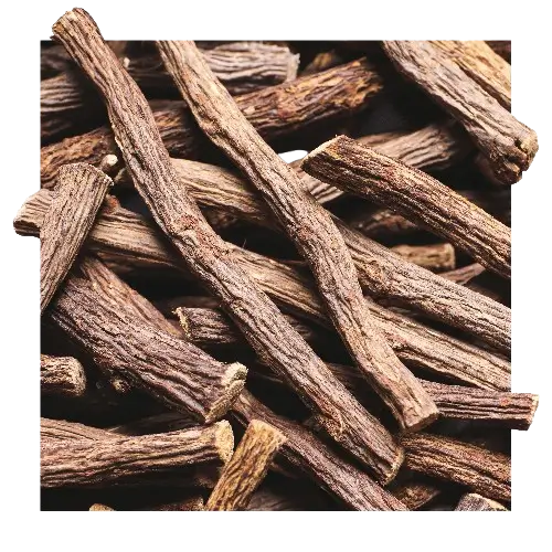 Pukka Herbs - Peppermint & Licorice Tea
