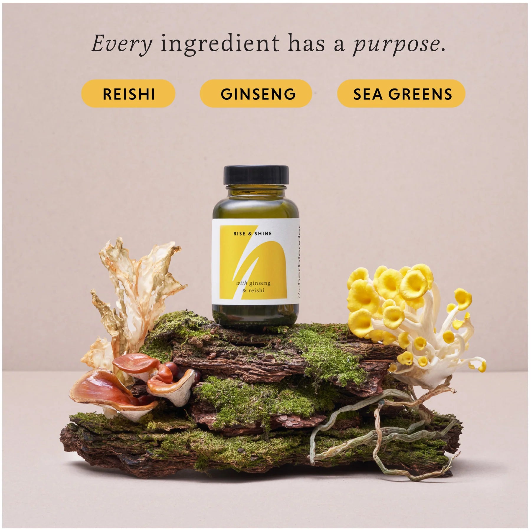 The Herbtender - Rise & Shine