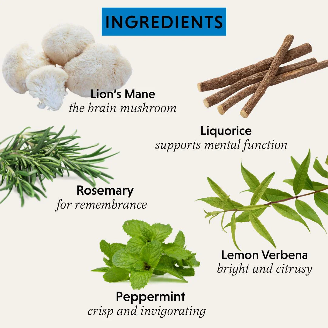 The Herbtender - Pure Focus Organic Herbal Tea