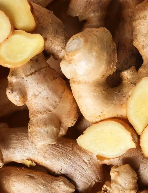 Pukka Herbs - Lemon, Ginger & Manuka Honey Tea